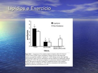 Lipídios e Exercício 