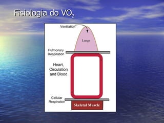 Fisiologia do VO 2 