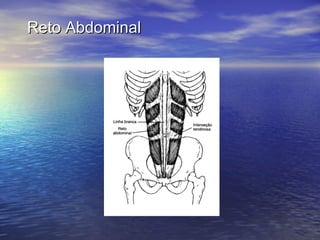 Reto Abdominal 