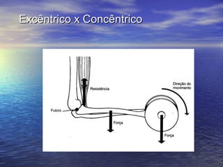 Excêntrico x Concêntrico 