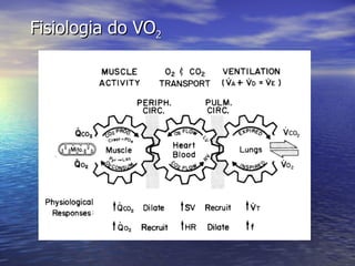 Fisiologia do VO 2 