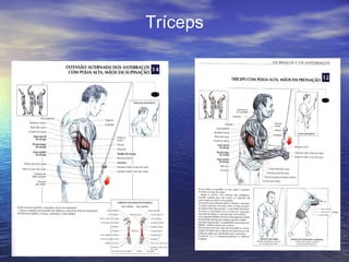 Tríceps 