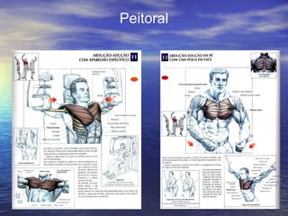 Peitoral 