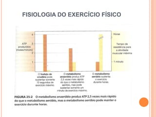 FISIOLOGIA DO EXERCÍCIO FÍSICO 
 