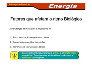Fisiologia do ExercFisiologia do Exercííciocio
Fatores que afetam o ritmo BiolFatores que afetam o ritmo Biolóógicogico
A manutenção da intensidade é dependente de:
1. Ritmo de extração energética das células
2. Conservação energética das células
3. Transferência energética das células
Quanto mais intenso, maior será o ritmo e a transferência
energética. Quanto menor a intensidade, maior será a
conservação energética.
 