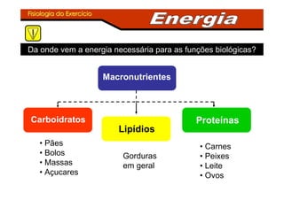 Fisiologia do ExercFisiologia do Exercííciocio
Da onde vem a energia necessária para as funções biológicas?
Macronutrientes
Carboidratos
Lipídios
Proteínas
• Pães
• Bolos
• Massas
• Açucares
Gorduras
em geral
• Carnes
• Peixes
• Leite
• Ovos
 