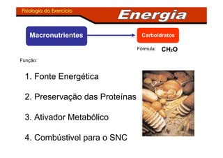 Fisiologia do ExercFisiologia do Exercííciocio
Macronutrientes Carboidratos
CH2OFórmula:
Função:
1. Fonte Energética
2. Preservação das Proteínas
3. Ativador Metabólico
4. Combústivel para o SNC
 