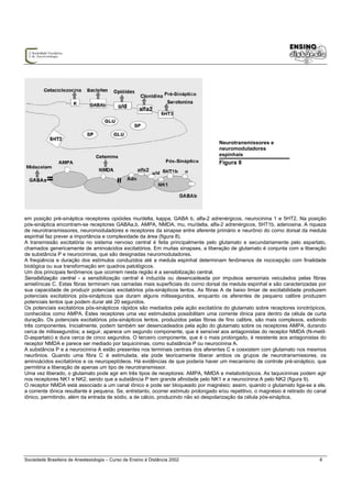 Neurotransmissores e
                                                                                    neuromoduladores
                                                                                    espinhais
                                                                                    Figura 8




em posição pré-sináptica receptores opióides mu/delta, kappa, GABA b, alfa-2 adrenérgicos, neurocinina 1 e 5HT2. Na posição
pós-sináptica encontram-se receptores GABAa,b, AMPA, NMDA, mu, mu/delta, alfa-2 adrenérgicos, 5HT1b, adenosina. A riqueza
de neurotransmissores, neuromoduladores e receptores da sinapse entre aferente primário e neurônio do corno dorsal da medula
espinhal faz prever a importância e complexidade da área (figura 8).
A transmissão excitatória no sistema nervoso central é feita principalmente pelo glutamato e secundariamente pelo aspartato,
chamados genericamente de aminoácidos excitatórios. Em muitas sinapses, a liberação de glutamato é conjunta com a liberação
de substância P e neurocininas, que são designadas neuromoduladores.
A freqüência e duração dos estímulos conduzidos até a medula espinhal determinam fenômenos de nocicepção com finalidade
biológica ou sua transformação em quadros patológicos.
Um dos principais fenômenos que ocorrem nesta região é a sensibilização central.
Sensibilização central - a sensibilização central é induzida ou desencadeada por impulsos sensoriais veiculados pelas fibras
amielínicas C. Estas fibras terminam nas camadas mais superficiais do corno dorsal da medula espinhal e são caracterizadas por
sua capacidade de produzir potenciais excitatórios pós-sinápticos lentos. As fibras A de baixo limiar de excitabilidade produzem
potenciais excitatórios pós-sinápticos que duram alguns milissegundos, enquanto os aferentes de pequeno calibre produzem
potenciais lentos que podem durar até 20 segundos.
Os potenciais excitatórios pós-sinápticos rápidos são mediados pela ação excitatória do glutamato sobre receptores ionotrópicos,
conhecidos como AMPA. Estes receptores uma vez estimulados possibilitam uma corrente iônica para dentro da célula de curta
duração. Os potenciais excitatórios pós-sinápticos lentos, produzidos pelas fibras de fino calibre, são mais complexos, exibindo
três componentes. Inicialmente, podem também ser desencadeados pela ação do glutamato sobre os receptores AMPA, durando
cerca de milissegundos; a seguir, aparece um segundo componente, que é sensível aos antagonistas do receptor NMDA (N-metil-
D-aspartato) e dura cerca de cinco segundos. O terceiro componente, que é o mais prolongado, é resistente aos antagonistas do
receptor NMDA e parece ser mediado por taquicininas, como substância P ou neurocinina A.
A substância P e a neurocinina A estão presentes nos terminais centrais dos aferentes C e coexistem com glutamato nos mesmos
neurônios. Quando uma fibra C é estimulada, ela pode teoricamente liberar ambos os grupos de neurotransmissores, os
aminoácidos excitatórios e os neuropeptídeos. Há evidências de que poderia haver um mecanismo de controle pré-sináptico, que
permitiria a liberação de apenas um tipo de neurotransmissor.
Uma vez liberado, o glutamato pode agir em três tipos de receptores: AMPA, NMDA e metabotrópicos. As taquicininas podem agir
nos receptores NK1 e NK2, sendo que a substância P tem grande afinidade pelo NK1 e a neurocinina A pelo NK2 (figura 9).
O receptor NMDA está associado a um canal iônico e pode ser bloqueado por magnésio; assim, quando o glutamato liga-se a ele,
a corrente iônica resultante é pequena. Se, entretanto, ocorrer estímulo prolongado e/ou repetitivo, o magnésio é retirado do canal
iônico, permitindo, além da entrada de sódio, a de cálcio, produzindo não só despolarização da célula pós-sináptica,




Sociedade Brasileira de Anestesiologia – Curso de Ensino à Distância 2002                                                       6
 