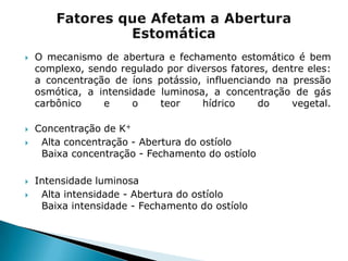    O mecanismo de abertura e fechamento estomático é bem
    complexo, sendo regulado por diversos fatores, dentre eles:
    a concentração de íons potássio, influenciando na pressão
    osmótica, a intensidade luminosa, a concentração de gás
    carbônico    e     o    teor    hídrico     do     vegetal.

   Concentração de K+
    Alta concentração - Abertura do ostíolo
     Baixa concentração - Fechamento do ostíolo

   Intensidade luminosa
    Alta intensidade - Abertura do ostíolo
     Baixa intensidade - Fechamento do ostíolo
 
