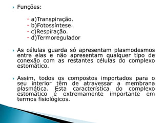    Funções:

          a)Transpiração.
          b)Fotossíntese.
          c)Respiração.
          d)Termoregulador

   As células guarda só apresentam plasmodesmos
    entre elas e não apresentam qualquer tipo de
    conexão com as restantes células do complexo
    estomático.

   Assim, todos os compostos importados para o
    seu interior têm de atravessar a membrana
    plasmática. Esta característica do complexo
    estomático é extremamente importante em
    termos fisiológicos.
 