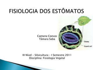 Caetana Coevas
             Tâmara Saba




III Nível – Silvicultura – I Semestre 2011
       Disciplina: Fisiologia Vegetal
 