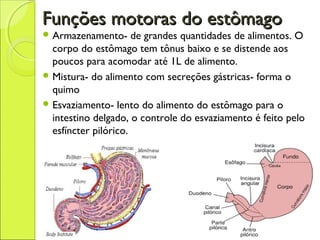 Funções motoras do estômagoFunções motoras do estômago
 Armazenamento- de grandes quantidades de alimentos. O
corpo do estômago tem tônus baixo e se distende aos
poucos para acomodar até 1L de alimento.
 Mistura- do alimento com secreções gástricas- forma o
quimo
 Esvaziamento- lento do alimento do estômago para o
intestino delgado, o controle do esvaziamento é feito pelo
esfíncter pilórico.
 