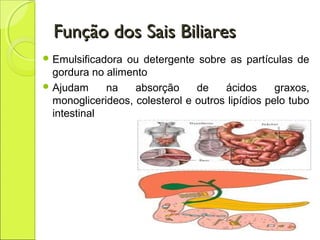 Função dos Sais BiliaresFunção dos Sais Biliares
 Emulsificadora ou detergente sobre as partículas de
gordura no alimento
 Ajudam na absorção de ácidos graxos,
monoglicerideos, colesterol e outros lipídios pelo tubo
intestinal
 
