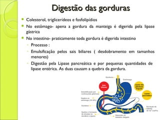 Digestão das gordurasDigestão das gorduras
 Colesterol, triglicerídeos e fosfolipídios
 No estômago- apena a gordura da manteiga é digerida pela lipase
gástrica
 No intestino- praticamente toda gordura é digerida intestino
◦ Processo :
◦ Emulsificação pelos sais biliares ( desdobramento em tamanhos
menores)
◦ Digestão pela Lipase pancreática e por pequenas quantidades de
lipase entérica. As duas causam a quebra da gordura.
 