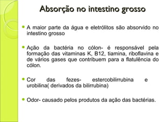 Absorção no intestino grossoAbsorção no intestino grosso
 A maior parte da água e eletrólitos são absorvido no
intestino grosso
 Ação da bactéria no cólon- é responsável pela
formação das vitaminas K, B12, tiamina, riboflavina e
de vários gases que contribuem para a flatulência do
cólon.
 Cor das fezes- estercobilirrubina e
urobilina( derivados da bilirrubina)
 Odor- causado pelos produtos da ação das bactérias.
 