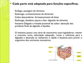  Cada parte está adaptada para funções específicas.
◦ Esofago- passagem do alimento
◦ Estômago- armazenamento de alimentos
◦ Colon descendente- Armazenamento de fezes
◦ Estômago, duodeno, jejuno e íleo- digestão do alimento
◦ Intestino Delgado e metade proximal do cólon- absorção dos
produtos finais da digestão e líquidos.
◦ O intestino possui uma série de mecanismo auto-reguladores- manter
o trannsito numa velocidade adequada.- Lenta o suficiente para a
digestão e absorção se realizarem e rápida o bastante para prover o
organismo dos nutrientes necessários
 