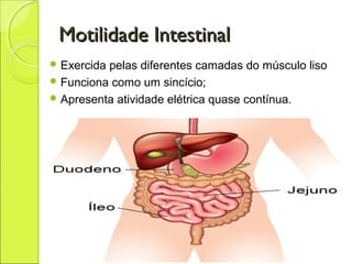 Motilidade IntestinalMotilidade Intestinal
 Exercida pelas diferentes camadas do músculo liso
 Funciona como um sincício;
 Apresenta atividade elétrica quase contínua.
 