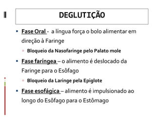 DEGLUTIÇÃO
 Fase Oral - a língua força o bolo alimentar em
direção à Faringe
 Bloqueio da Nasofaringe pelo Palato mole
 Fase faríngea – o alimento é deslocado da
Faringe para o Esôfago
 Bloqueio da Laringe pela Epiglote
 Fase esofágica – alimento é impulsionado ao
longo do Esôfago para o Estômago
 