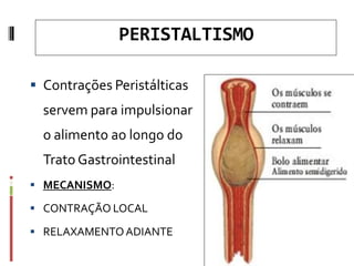 PERISTALTISMO
 Contrações Peristálticas
servem para impulsionar
o alimento ao longo do
Trato Gastrointestinal
 MECANISMO:
 CONTRAÇÃO LOCAL
 RELAXAMENTOADIANTE
 