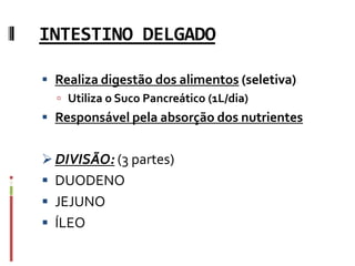 INTESTINO DELGADO
 Realiza digestão dos alimentos (seletiva)
 Utiliza o Suco Pancreático (1L/dia)
 Responsável pela absorção dos nutrientes
DIVISÃO: (3 partes)
 DUODENO
 JEJUNO
 ÍLEO
 