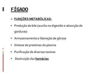 FÍGADO
 FUNÇÕES METABÓLICAS:
 Produção da bile (auxilia na digestão e absorção de
gorduras)
 Armazenamento e liberação de glicose
 Síntese de proteínas do plasma
 Purificação de diversas toxinas
 Destruição das hemácias
 