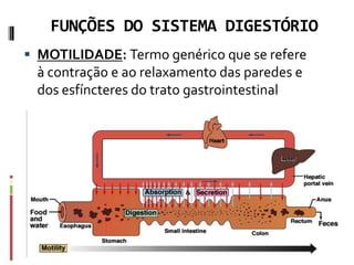 FUNÇÕES DO SISTEMA DIGESTÓRIO
 MOTILIDADE: Termo genérico que se refere
à contração e ao relaxamento das paredes e
dos esfíncteres do trato gastrointestinal
 
