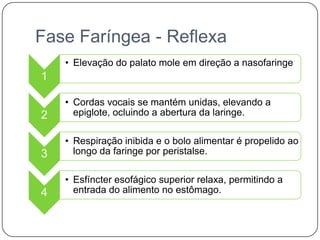 Fase Faríngea - Reflexa
    • Elevação do palato mole em direção a nasofaringe
1

    • Cordas vocais se mantém unidas, elevando a
2     epiglote, ocluindo a abertura da laringe.

    • Respiração inibida e o bolo alimentar é propelido ao
3     longo da faringe por peristalse.

    • Esfíncter esofágico superior relaxa, permitindo a
4     entrada do alimento no estômago.
 