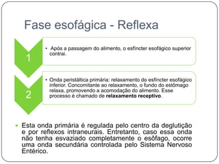 Fase esofágica - Reflexa
         • Após a passagem do alimento, o esfíncter esofágico superior
           contrai.
   1
         • Onda peristáltica primária: relaxamento do esfíncter esofágico
           inferior. Concomitante ao relaxamento, o fundo do estômago
           relaxa, promovendo a acomodação do alimento. Esse
   2       processo é chamado de relaxamento receptivo.




 Esta onda primária é regulada pelo centro da deglutição
  e por reflexos intraneurais. Entretanto, caso essa onda
  não tenha esvaziado completamente o esôfago, ocorre
  uma onda secundária controlada pelo Sistema Nervoso
  Entérico.
 