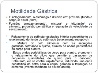 Motilidade Gástrica
 Fisiologicamente, o estômago é dividido em: proximal (fundo e
  corpo) e distal (antro).
 Função:    armazenamento¹, mistura² e trituração³ do
  alimento, propulsão peristáltica e regulação da velocidade de
  esvaziamento.

¹   Relaxamento do esfíncter esofágico inferior concomitante ao
  relaxamento do fundo do estômago (relaxamento receptivo).
²        Mistura do bolo alimentar com as secreções
    gástricas, formando o quimo, através de ondas peristálticas
    do corpo para o antro.
³    Essas ondas peristálticas do corpo para o antro, promovem
    o relaxamento do piloro que permite a passagem de
    pequenas quantidades de quimo para o duodeno.
    Entretanto, ele se contrai rapidamente, induzindo uma onda
    peristáltica do antro para o corpo, gerando a trituração do
    alimento (evento chamado de sístole antral).
 
