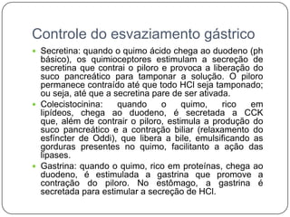 Controle do esvaziamento gástrico
 Secretina: quando o quimo ácido chega ao duodeno (ph
  básico), os quimioceptores estimulam a secreção de
  secretina que contrai o piloro e provoca a liberação do
  suco pancreático para tamponar a solução. O piloro
  permanece contraído até que todo HCl seja tamponado;
  ou seja, até que a secretina pare de ser ativada.
 Colecistocinina:    quando     o    quimo,     rico em
  lipídeos, chega ao duodeno, é secretada a CCK
  que, além de contrair o piloro, estimula a produção do
  suco pancreático e a contração biliar (relaxamento do
  esfíncter de Oddi), que libera a bile, emulsificando as
  gorduras presentes no quimo, facilitanto a ação das
  lipases.
 Gastrina: quando o quimo, rico em proteínas, chega ao
  duodeno, é estimulada a gastrina que promove a
  contração do piloro. No estômago, a gastrina é
  secretada para estimular a secreção de HCl.
 
