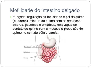 Motilidade do intestino delgado
 Funções: regulação da tonicidade e pH do quimo
 (duodeno), mistura do quimo com as secreções
 biliares, gástricas e entéricas, renovação do
 contato do quimo com a mucosa e propulsão do
 quimo no sentido céfalo-caudal.
 