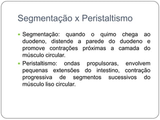 Segmentação x Peristaltismo
 Segmentação:      quando o quimo chega ao
  duodeno, distende a parede do duodeno e
  promove contrações próximas a camada do
  músculo circular.
 Peristaltismo: ondas propulsoras, envolvem
  pequenas extensões do intestino, contração
  progressiva de segmentos sucessivos do
  músculo liso circular.
 