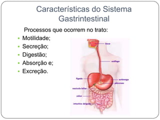 Características do Sistema
              Gastrintestinal
    Processos que ocorrem no trato:
   Motilidade;
   Secreção;
   Digestão;
   Absorção e;
   Excreção.
 