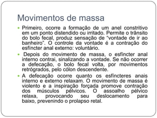 Movimentos de massa
 Primeiro, ocorre a formação de um anel constritivo
  em um ponto distendido ou irritado. Permite o trânsito
  do bolo fecal, produz sensação de “vontade de ir ao
  banheiro”. O controle da vontade é a contração do
  esfíncter anal externo: voluntário.
 Depois do movimento de massa, o esfíncter anal
  interno contrai, sinalizando a vontade. Se não ocorrer
  a defecação, o bolo fecal volta, por movimentos
  retrógrados, pelo cólon descendente.
 A defecação ocorre quanto os esfíncteres anais
  interno e externo relaxam. O movimento de massa é
  violento e a inspiração forçada promove contração
  dos músculos pélvicos. O assoalho pélvico
  relaxa, provocando seu deslocamento para
  baixo, prevenindo o prolapso retal.
 