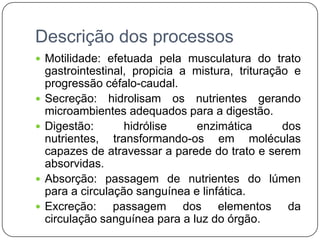 Descrição dos processos
 Motilidade: efetuada pela musculatura do trato
    gastrointestinal, propicia a mistura, trituração e
    progressão céfalo-caudal.
   Secreção: hidrolisam os nutrientes gerando
    microambientes adequados para a digestão.
   Digestão:       hidrólise    enzimática        dos
    nutrientes, transformando-os em moléculas
    capazes de atravessar a parede do trato e serem
    absorvidas.
   Absorção: passagem de nutrientes do lúmen
    para a circulação sanguínea e linfática.
   Excreção: passagem dos elementos da
    circulação sanguínea para a luz do órgão.
 