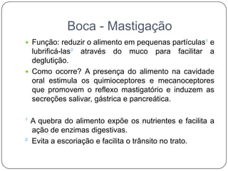 Boca - Mastigação
 Função: reduzir o alimento em pequenas partículas¹ e
  lubrificá-las² através do muco para facilitar a
  deglutição.
 Como ocorre? A presença do alimento na cavidade
  oral estimula os quimioceptores e mecanoceptores
  que promovem o reflexo mastigatório e induzem as
  secreções salivar, gástrica e pancreática.

¹ A quebra do alimento expõe os nutrientes e facilita a
  ação de enzimas digestivas.
² Evita a escoriação e facilita o trânsito no trato.
 