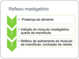 Reflexo mastigatório

     • Presença do alimento
 1

     • Inibição do músculo mastigatório:
 2     queda da mandíbula.

     • Reflexo de estiramento do músculo
 3     da mandíbula: contração de rebote.
 