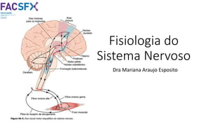 Fisiologia do
Sistema Nervoso
Dra Mariana Araujo Esposito
 