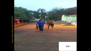 EPM
Fonte:ArquivoPessoalHV/EVZ/UFG
 