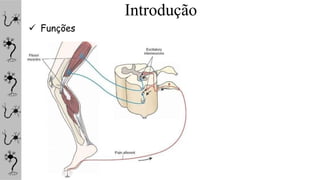 Introdução
 Funções
 