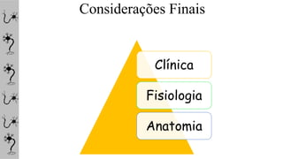 Considerações Finais
Clínica
Fisiologia
Anatomia
 