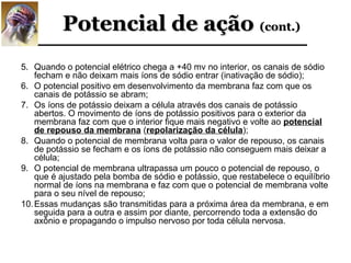 Potencial de ação (cont.)
5. Quando o potencial elétrico chega a +40 mv no interior, os canais de sódio
    fecham e não deixam mais íons de sódio entrar (inativação de sódio);
6. O potencial positivo em desenvolvimento da membrana faz com que os
    canais de potássio se abram;
7. Os íons de potássio deixam a célula através dos canais de potássio
    abertos. O movimento de íons de potássio positivos para o exterior da
    membrana faz com que o interior fique mais negativo e volte ao potencial
    de repouso da membrana (repolarização da célula);
8. Quando o potencial de membrana volta para o valor de repouso, os canais
    de potássio se fecham e os íons de potássio não conseguem mais deixar a
    célula;
9. O potencial de membrana ultrapassa um pouco o potencial de repouso, o
    que é ajustado pela bomba de sódio e potássio, que restabelece o equilíbrio
    normal de íons na membrana e faz com que o potencial de membrana volte
    para o seu nível de repouso;
10. Essas mudanças são transmitidas para a próxima área da membrana, e em
    seguida para a outra e assim por diante, percorrendo toda a extensão do
    axônio e propagando o impulso nervoso por toda célula nervosa.
 