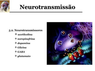 Neurotransmissão


5.2. Neurotransmissores
      acetilcolina
     norepinefrina
     dopamina
     Glicina
     GABA
     glutamato
 
