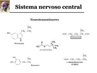 Sistema nervoso central

     Neurotransmissores
 