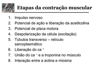 Etapas da contração muscular
1. Impulso nervoso
2. Potencial de ação e liberação da acetilcolina
3. Potencial de placa motora
4. Despolarização da célula (excitação)
5. Túbulos transverso – retículo
   sarcoplasmático
6. Liberação do ca ++
7. União do ca ++ e a troponina no músculo
8. Interação entre a actina e miosina
 