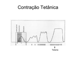 Contração Tetânica




               Tetania
 