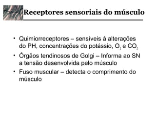 Receptores sensoriais do músculo


• Quimiorreceptores – sensíveis à alterações
  do PH, concentrações do potássio, O2 e CO2
• Órgãos tendinosos de Golgi – Informa ao SN
  a tensão desenvolvida pelo músculo
• Fuso muscular – detecta o comprimento do
  músculo
 
