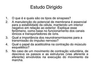 Estudo Dirigido

1.   O que é e quais são os tipos de sinapses?
2.   A manutenção do potencial de membrana é essencial
     para a estabilidade da célula, mantendo um interior
     negativo em relação ao exterior. Explique esse
     fenômeno, como base no funcionamento dos canais
     iônicos e transportadores de íons.
3.   Qual a importância dos neurotransmissores para a
     transmissão do impulso nervoso?
4.   Qual o papel da acetilcolina na contração do músculo
     esquelético?
5.   No caso de um movimento de contração voluntária, de
     descreva os passos e as estruturas (vias aferente e
     eferente) envolvidos na execução do movimento da
     marcha.
 