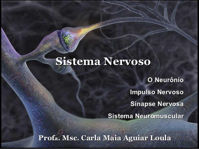 Sistema Nervoso                            O Neurônio                        Impulso Nervoso                        Sinaps...