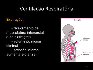 Ventilação Respiratória Expiração: - relaxamento da musculatura intercostal e do diafragma - volume pulmonar diminui - pressão interna aumenta e o ar saí 